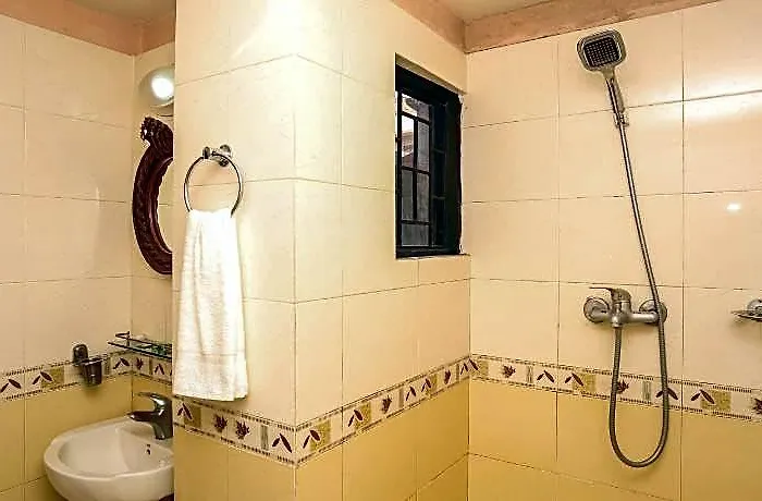 Thamel Eco 4*